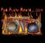 Pro Flow Radio | Station Logo