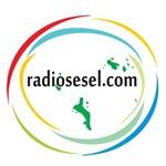 Radiosesel | Station Logo