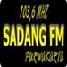 Sadang FM Purwakarta | Station Logo