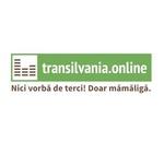 transilvania.online | Station Logo