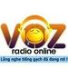 vOzer's Radio Online | Station Logo