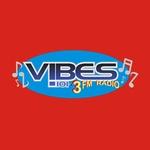 Vibes 101.3 FM | Station Logo